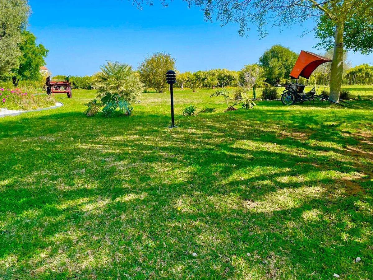 Casa Pepa Con Encanto Ondara Εξωτερικό φωτογραφία