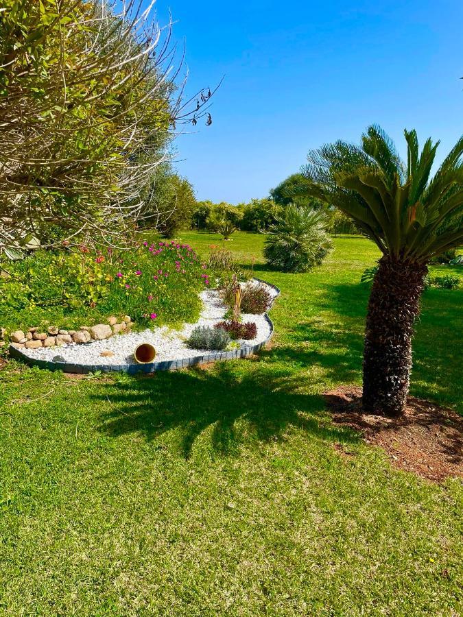 Casa Pepa Con Encanto Ondara Εξωτερικό φωτογραφία